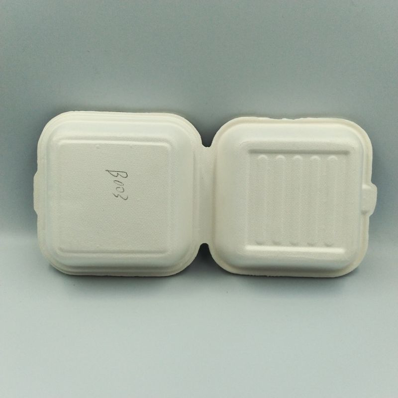 Shine Peak Biodegradable Bagasse Sugarcane Hamburger Boxes