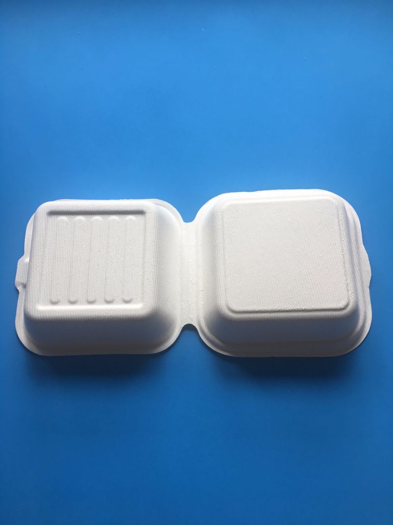 Disposable Biodegradable Sugarcane Bagasse Pulp Paper Food Packaging Container Box 8 Inchi Luch Box