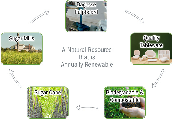 Eco Friendly Biodegradable Sugarcane Bagasse Food Box Conatainer