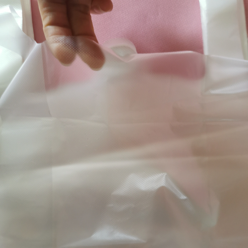 Environmentally Friendly Reusable PE Food Bag Durable Transparent Plastic Bag