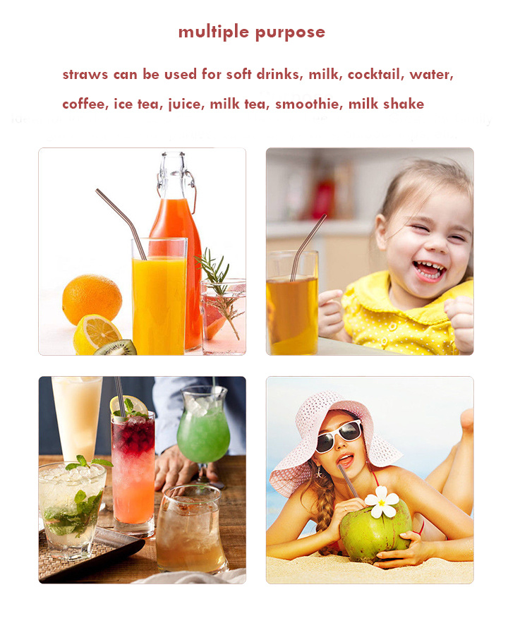 Eco Friendly Stainless Steel Straws Reusable Metal Drinking Straws