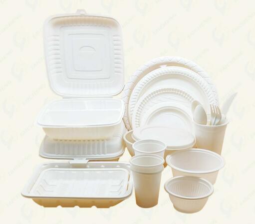 Food Containers 100% Biodegradable Sugarcane Bagasse Lunch Box
