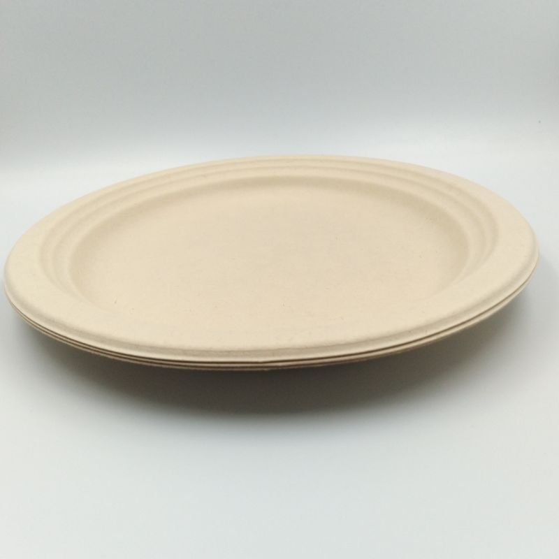 Disposable Plate Bagasse Sugarcane Throw Away Plates