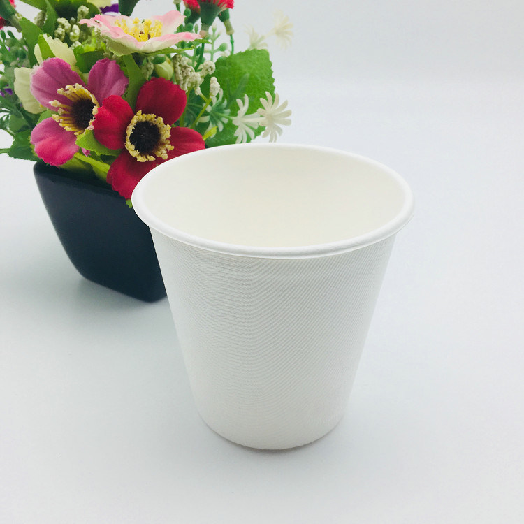 Disposable Biodegradable White Sugarcane Pulp Cup with Lid