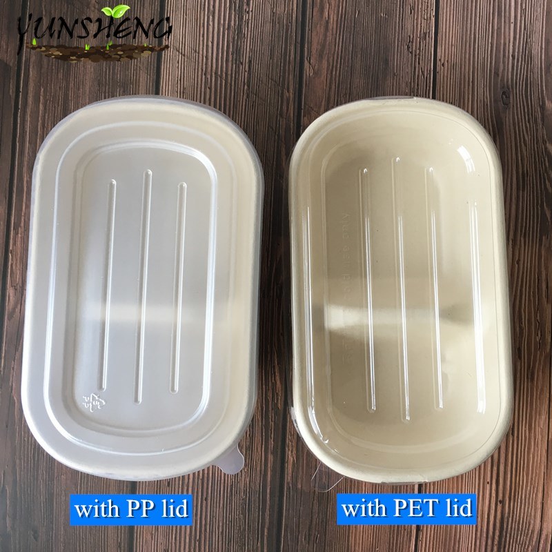 Compostable Disposable Takeout Food Paper Box with Paper Lids