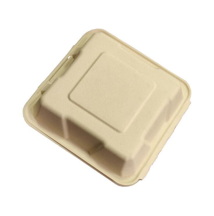 Biodegradable Sugarcane to Go Boxes/ Sugarcane Lunch Boxes/Sugarcane Disposable Container