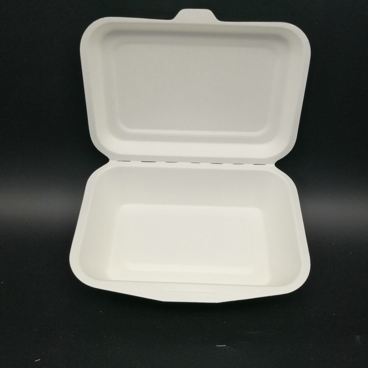 High Quality Biodegradable Disposable Sugarcane Food Container