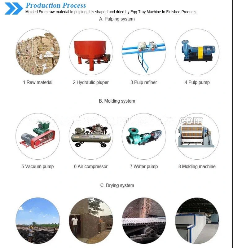High Quality Paper Pulp Egg Tray Moulding Machine
