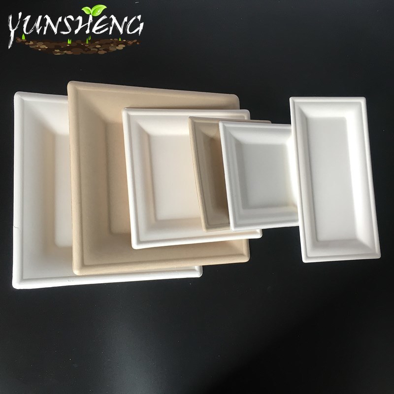 Biodegradable Disposable Sugarcane Bagasse Paper Square Plate