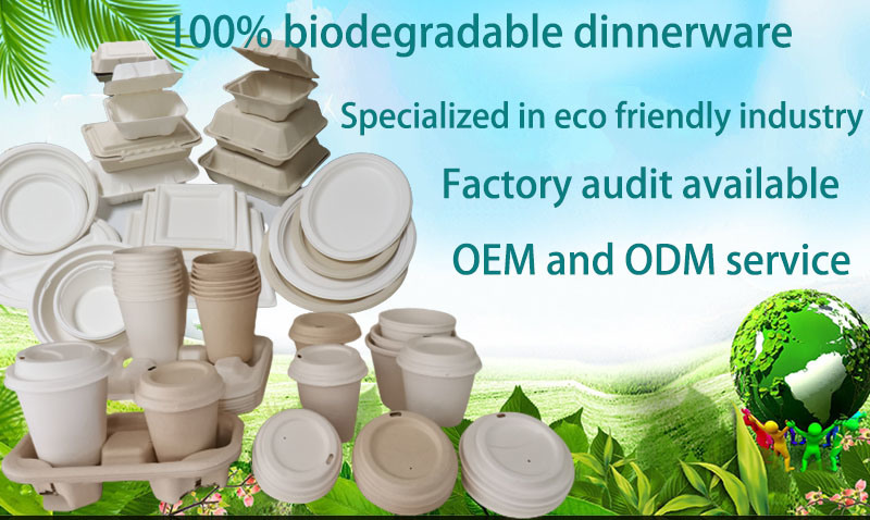 100% Biodegradable 80mm Sugarcane Bagasse Coffee Cup Lids