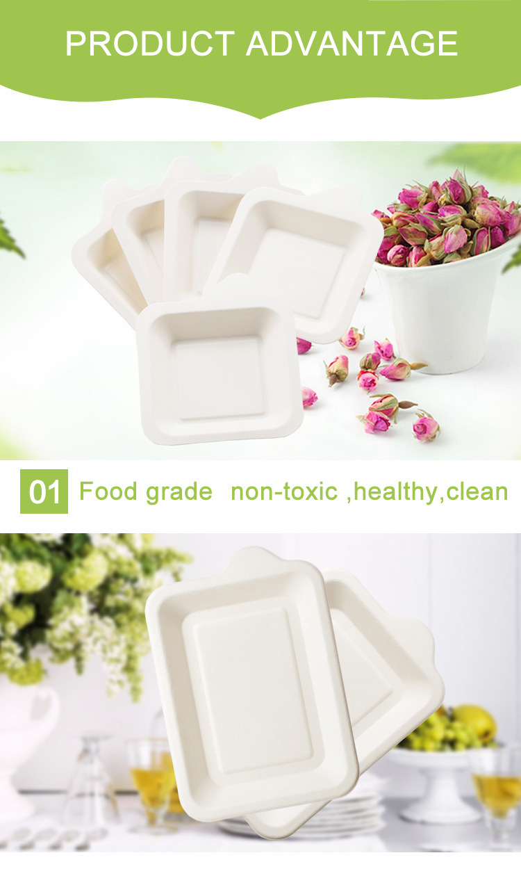 Biodegradable Tableware Dishes Bagasse Paper Square Plate