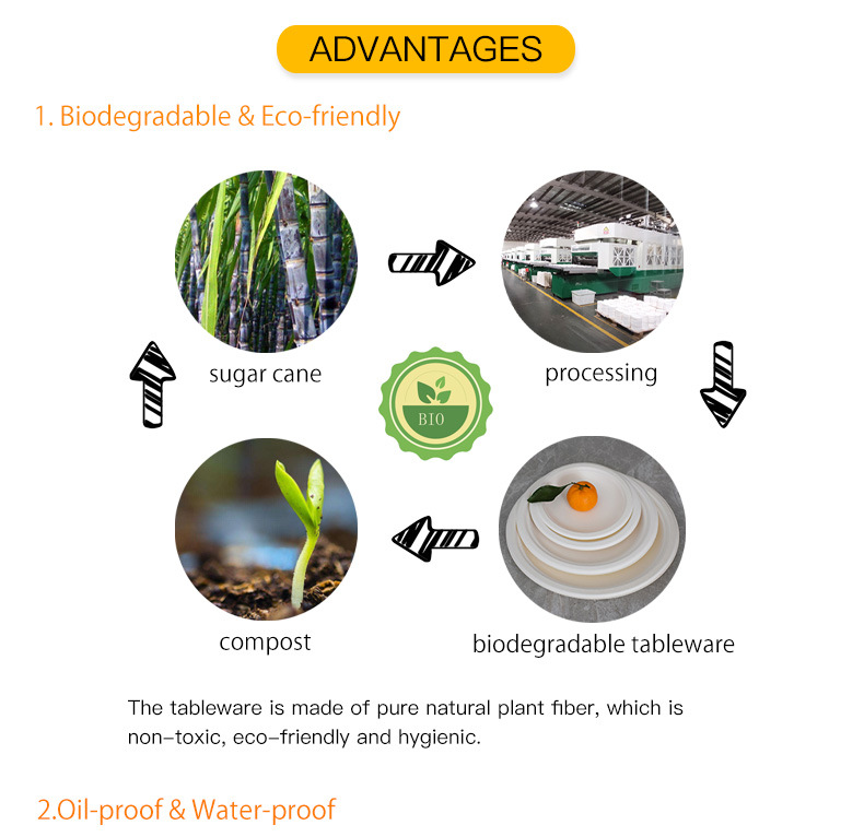 Compostable Sugarcane Bagasse Disposable Tray Biodegradable Tableware