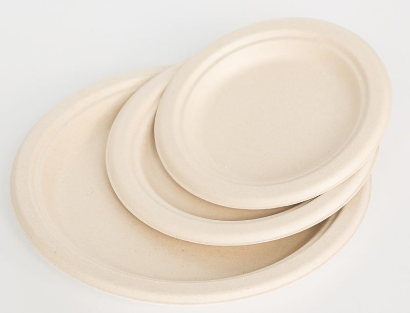 Eco-Friendly Disposable Biodegradable Compostable Sugarcane Bagasse Plate