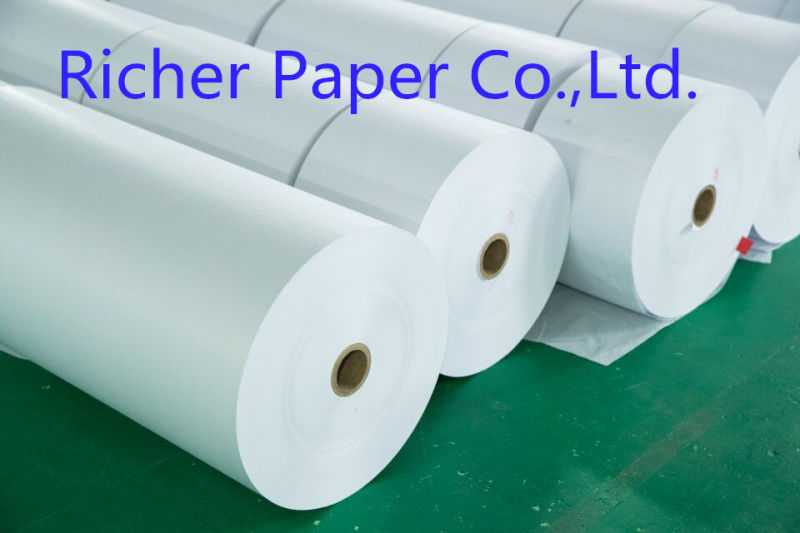 Food Grade PE Coated Kraft Paper for Paper Cup