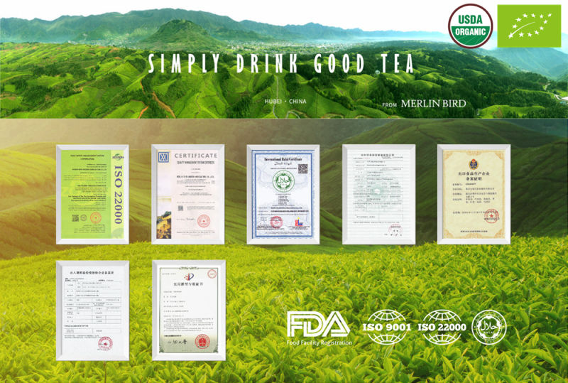 Organic Private Label High Quality Best Green/Black Tea in Tea Bags/ Bio Degradable Pyramid Bags