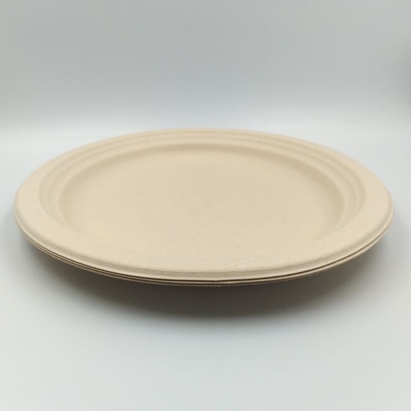 Disposable Plate Bagasse Sugarcane Throw Away Plates