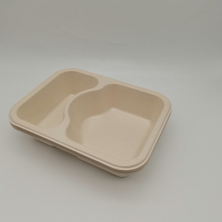 Eco-Friendly Compostable Disposable Sugarcane Bagasse 2 Compartment Tray