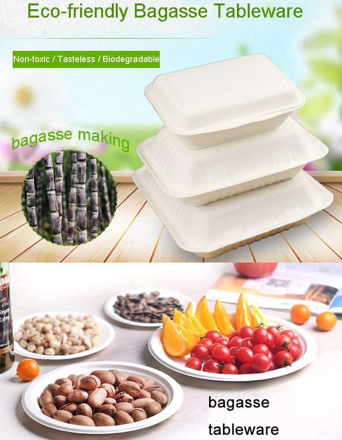 3-Compartment Compostable Sugarcane Bagasse Disposable Clamshell Box