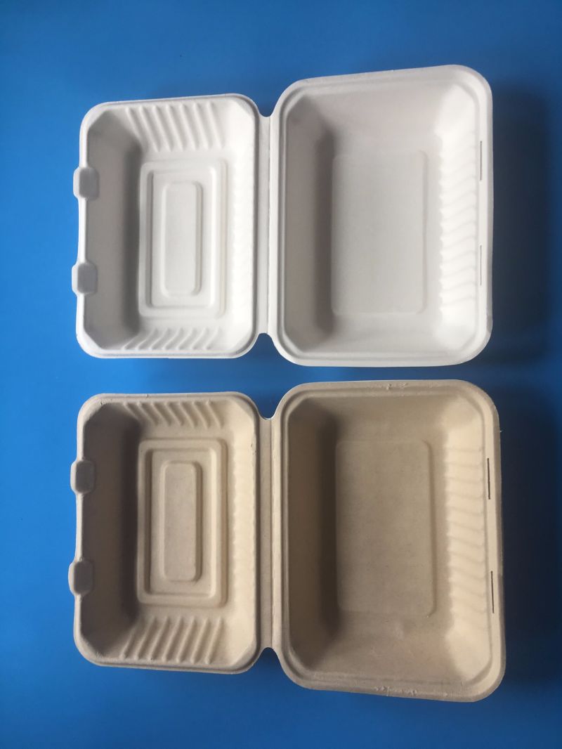 Biodegradable Sugarcane Bagasse Pulp Paper Food Packaging Container Box Takeawy Luch Box