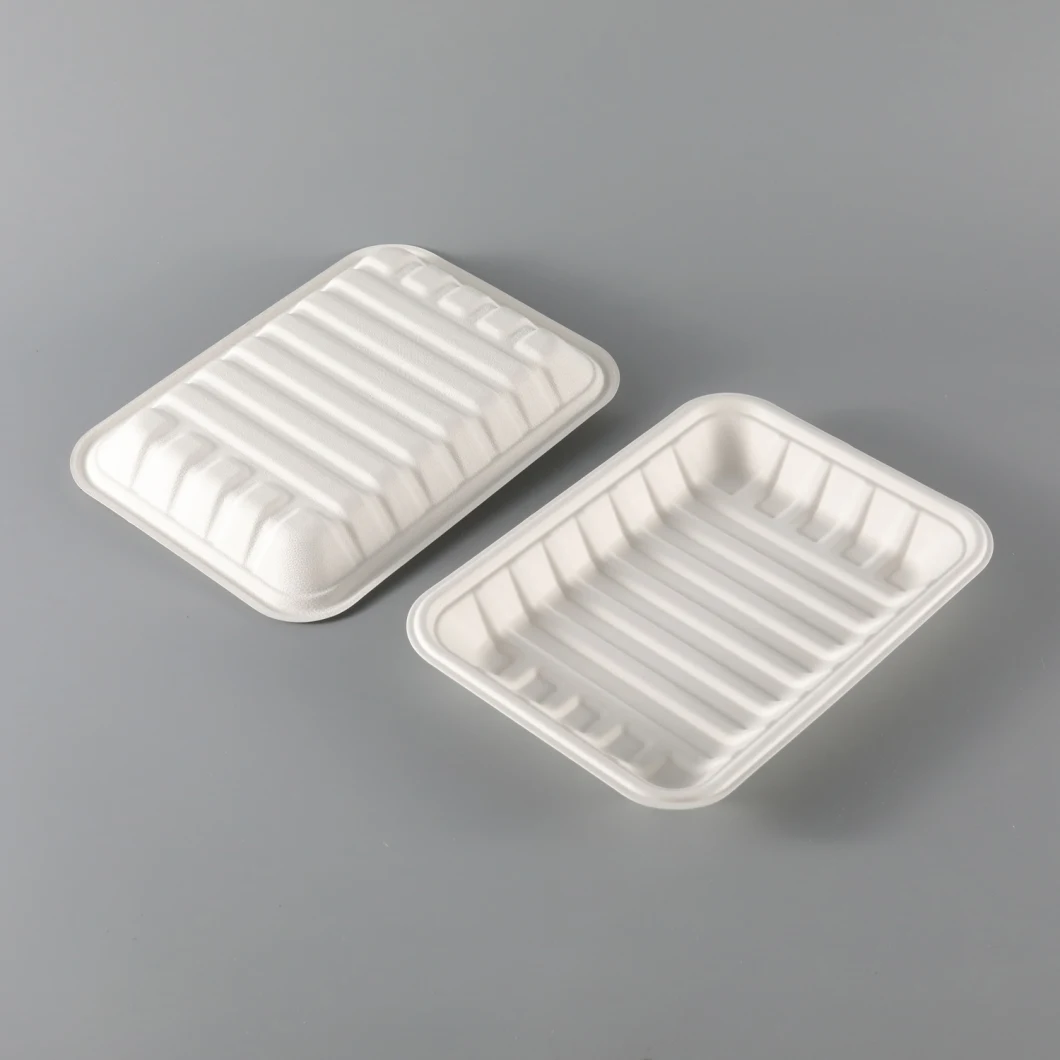 Disposable Sugarcane Pulp Lunch Box Biodegradable Bagasse Plate Food Container Bagasse Rectangular Tray