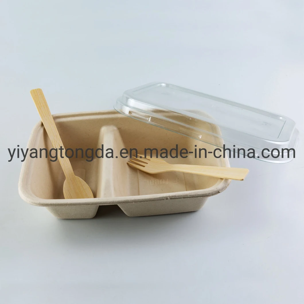 Biodegradable Pulp Lunch Container, Sugarcane Bagasse Food Container, Disposable Tableware
