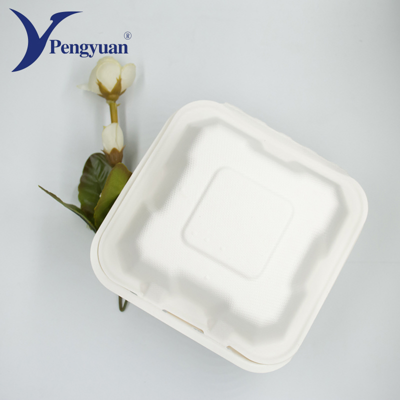 Sugar Cane Pulp Clamshell Food Container Hamburg Packing Container