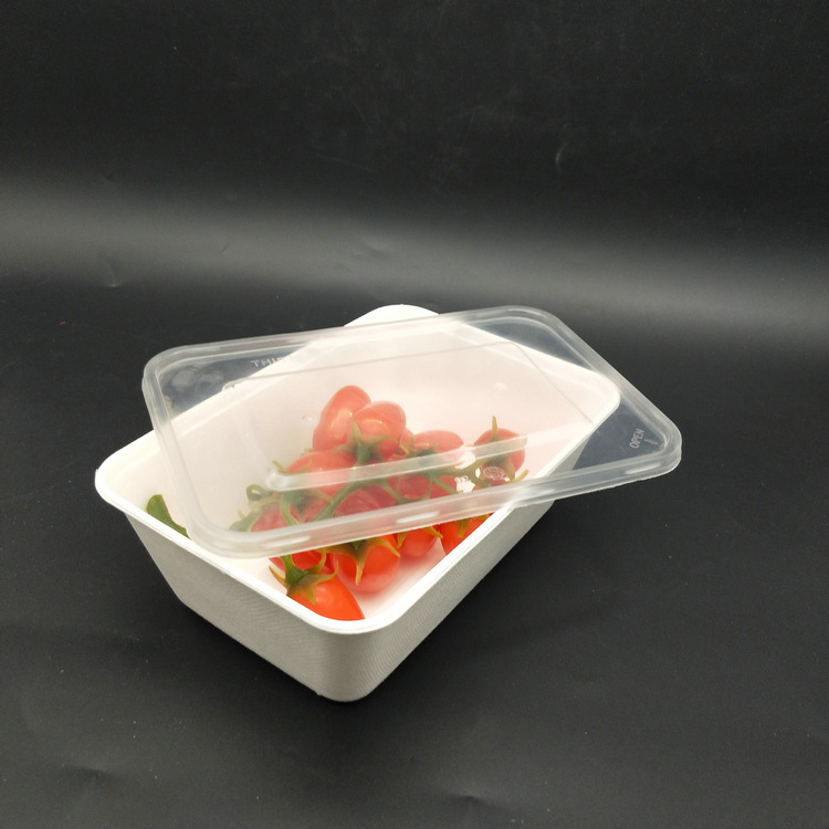 750ml Food Bagasse Tray Hot Sale Eco-Friendly Tray Bagasse with Food Material