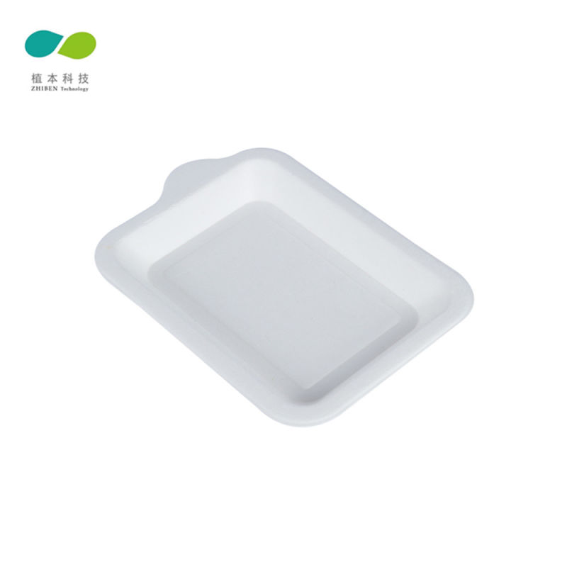 White Biodegrable Bagasse Sugarcane Square Paper Plate