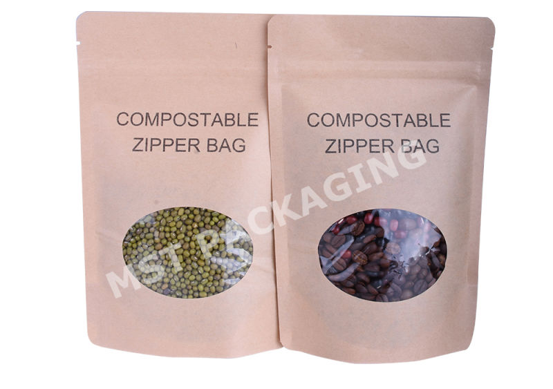 Food Grade Biodegradable Food Container Ziplock Package Clear Plastic Bag with Hang Hole