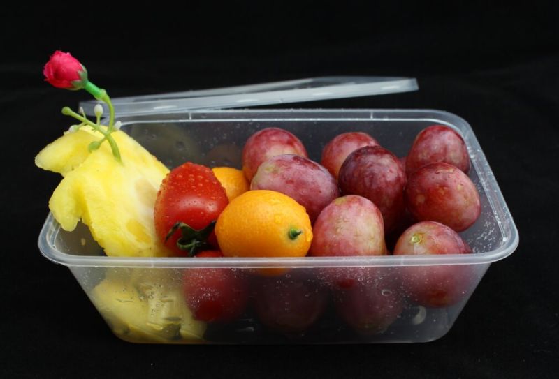 Wholesale 750ml Plastic Food Container with Lid