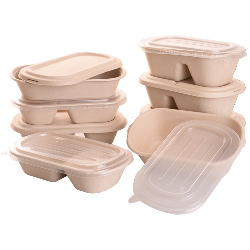 Disposable Biodegradable Eco Sugarcane Bagasse Paper Food Container Tray with Lid