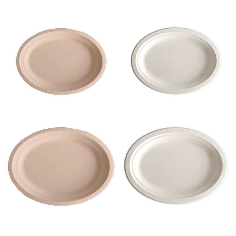 Disposable Sugarcane Bagasse Tableware Biodegradable
