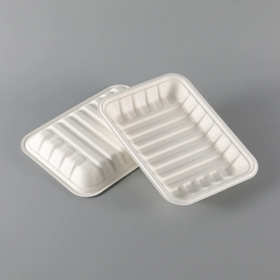 Disposable Sugarcane Pulp Lunch Box Biodegradable Bagasse Plate Food Container Bagasse Rectangular Tray