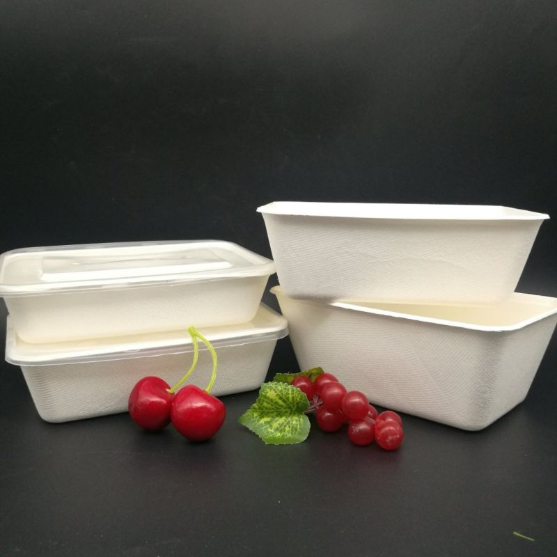 100% Biodegradable Food Container Pulp Sugarcane Tableware Container with Lid