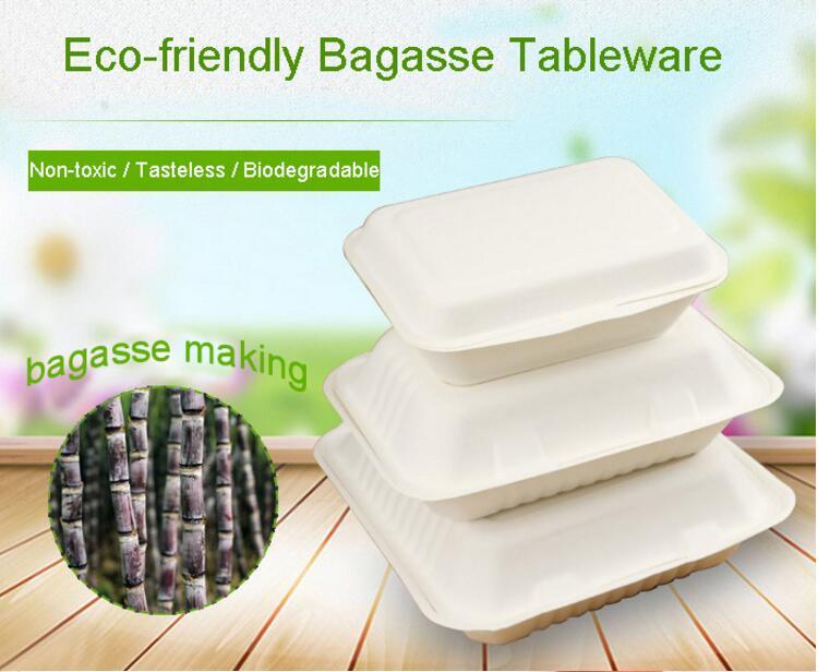 1000ml 2 Compartment Bagasse Box Bagasse Sugarcane Lunch Food Box