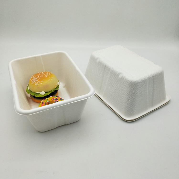 Sugarcane Bagasse Pulp Disposable Food Tray, Eco Friendly Disposable Food Container