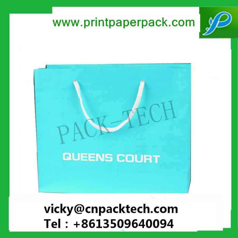 Custom Paper Luxury Bag for Apparel Custom Printed Apparel Paper Bag