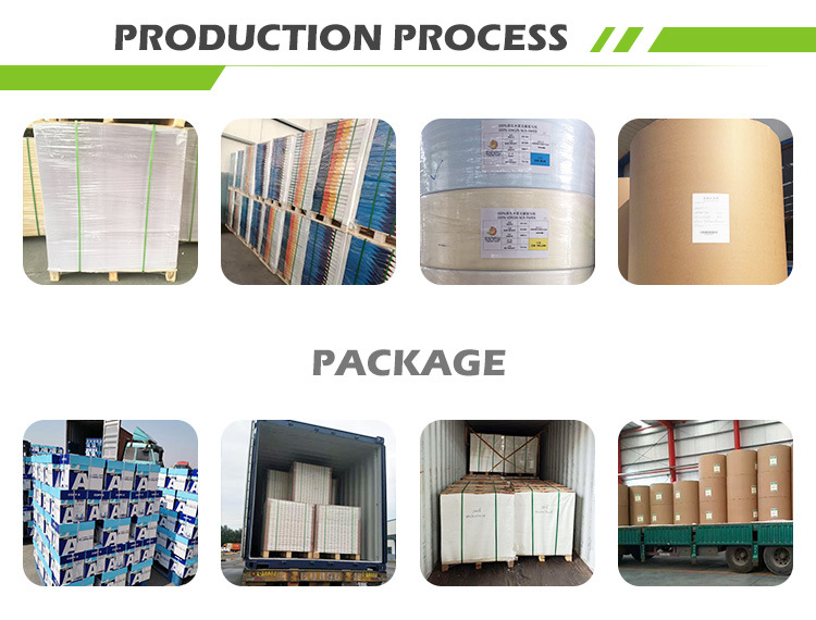 Virgin Pulp Style and Wood Pulp Pulp Material Fbb Roll