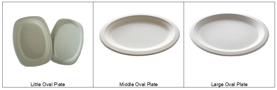 Biodegradable Bagasse Plate - 9 Inch Sugarcane Dinner Plate Disposable Paper Plate with 3 Sections