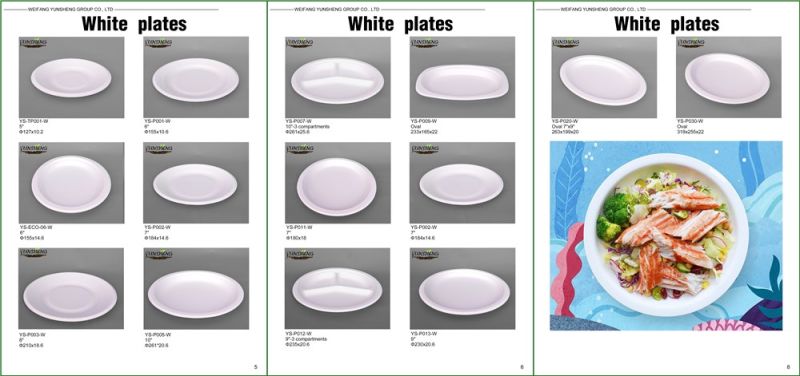 Disposable White Sugarcane Bagasse Pulp Paper Round Plates