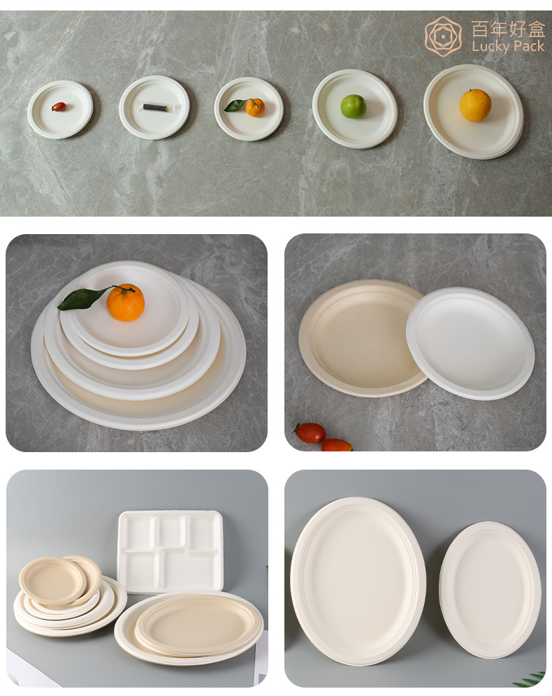 Disposable Compostable Biodegradable Tableware Sugarcane Bagasse 3 Compartment Plate