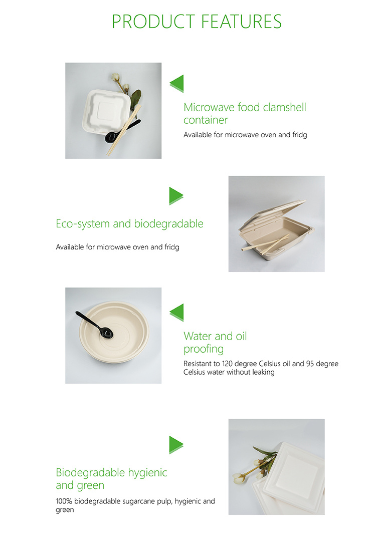 Biodegradable Sugarcane Pulp Microwave Disposable Paper Food Container