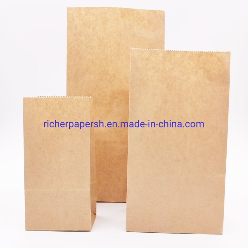 Paper Tote Bags Kraft Paper Packaging Gift Bag with Your Own Logo