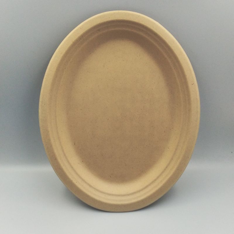 Disposable Plate Bagasse Sugarcane Throw Away Plates