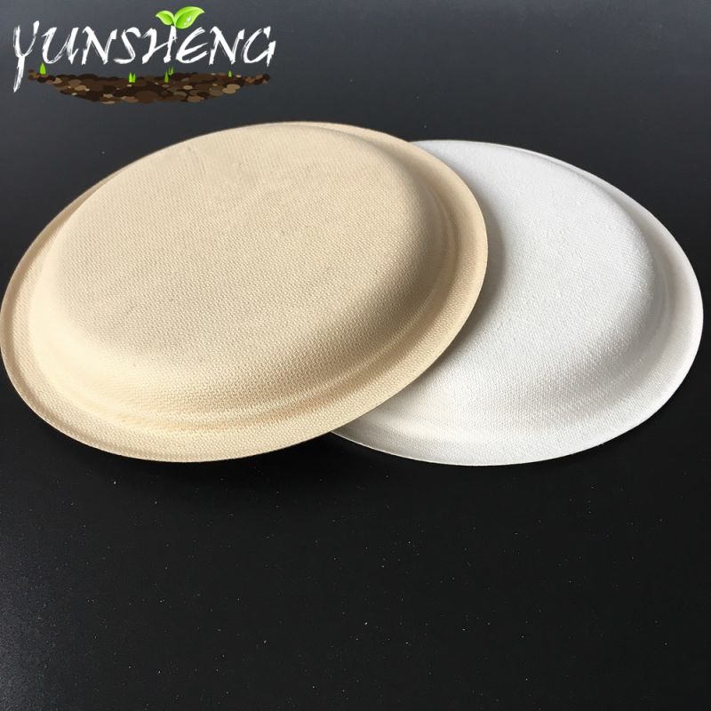 Disposable White Sugarcane Bagasse Pulp Paper Round Plates