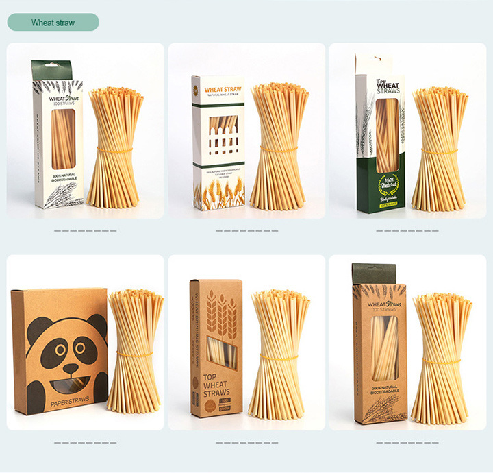 Customized Promotion Gift Biodegradable Stainless Steel Drinking Straws