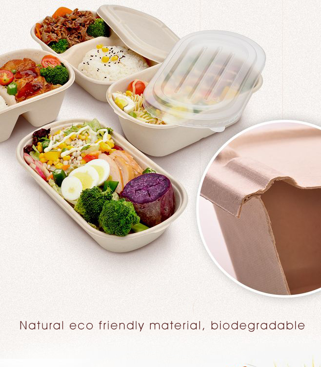 Compostable Eco Friendly Container Trays with Lids - Rectangular Oblong Tree Free Sugarcane Bagasse Meal Prep Bento Boxes Take out Catering Container