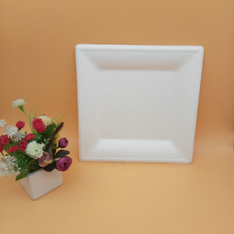 Sugarcane Bagasse Biodegradable Cake Square Plates for Cakes