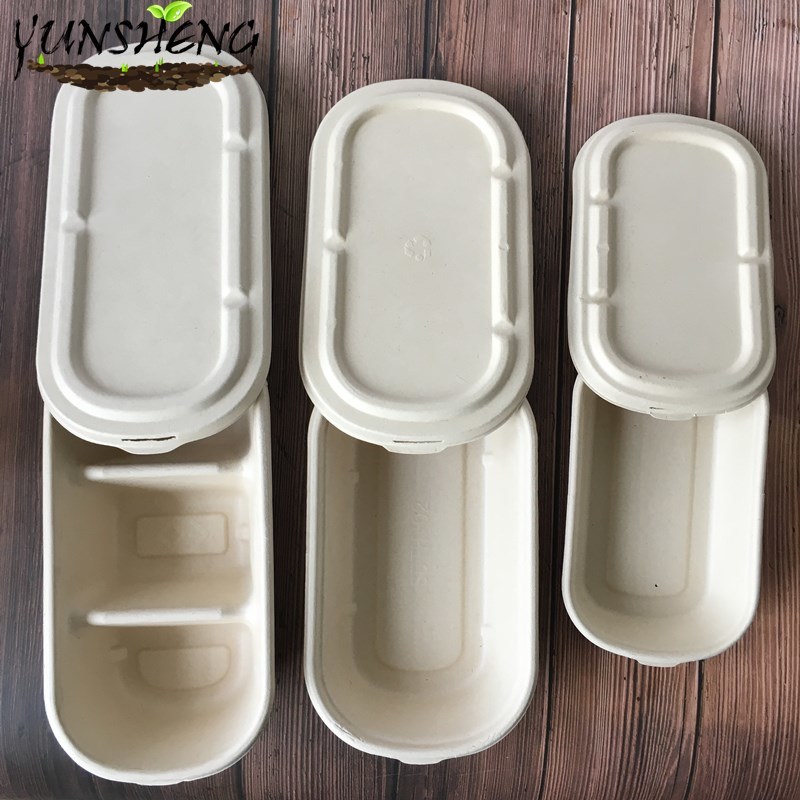 Disposable to Go Food Paper Box with Two Compartments for Salad or Fast Food Bamboo or Wheat Straw Pulp Paper Boxes