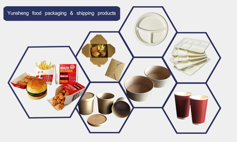 Disposable Biodegradable Sugarcane Bagasse Plate